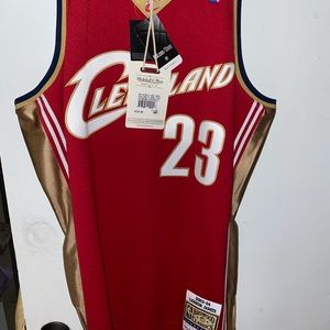 Lebron Authentic Jersey